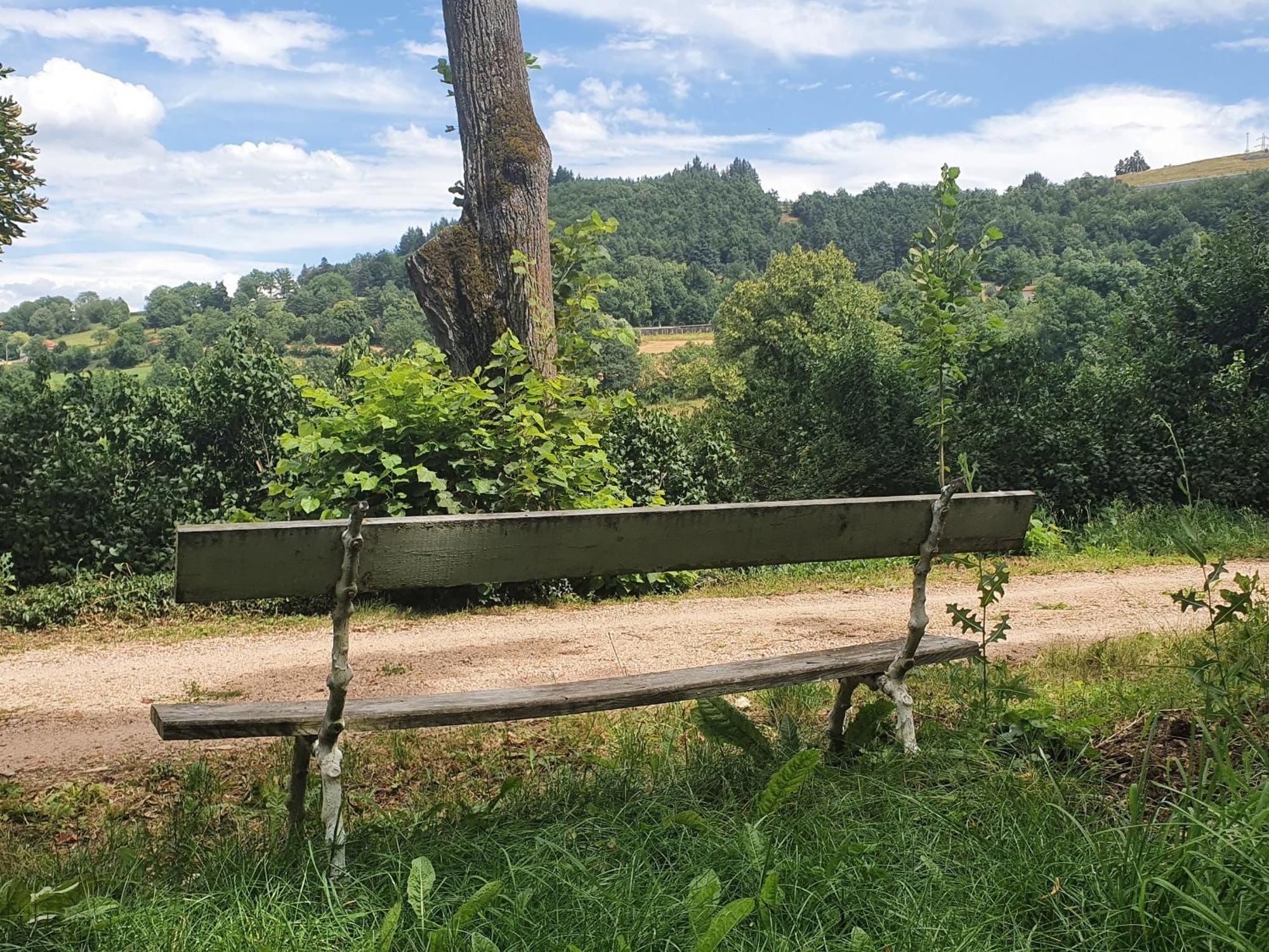 Gite Charmant Avec Terrasse Et Wifi Au Puy-En-Velay - Fr-1-582-331 Le Puy-en-Velay Exteriér fotografie